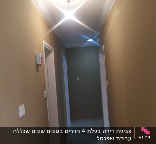 מסדרון צבוע בצבע בז